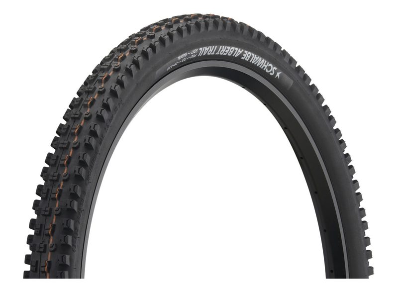 Schwalbe Albert MTB tire (Enduro, 29")