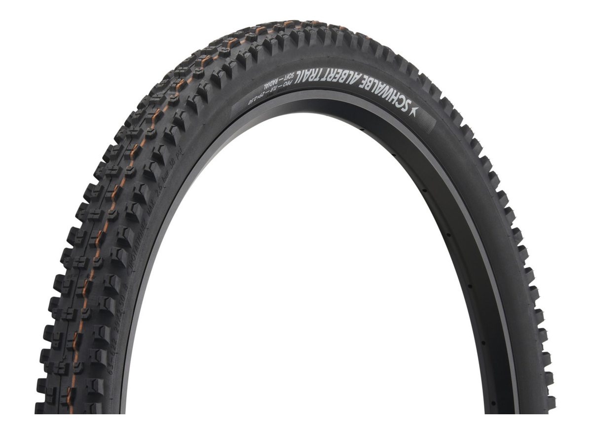 Schwalbe Albert MTB tire (Enduro, 29")