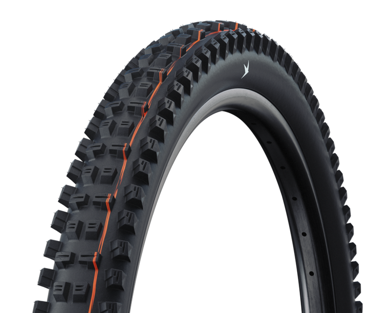 Schwalbe Tacky Chan MTB tire (Enduro, 29")